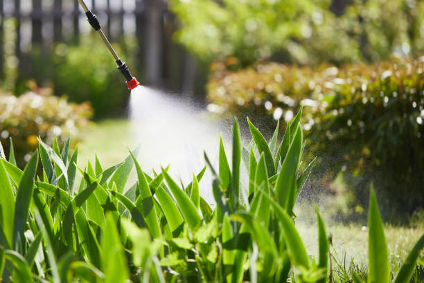 24/7 Emergency Termite Control experts in Bono, AR